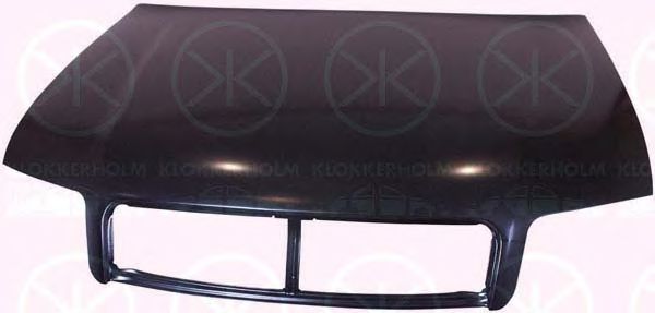 Capota motor