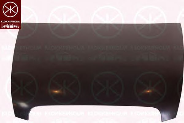 Capota motor