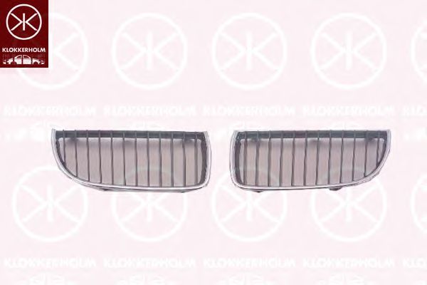 Grila radiator