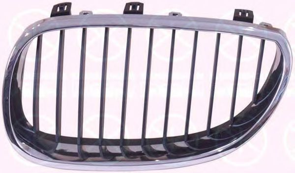 Grila radiator