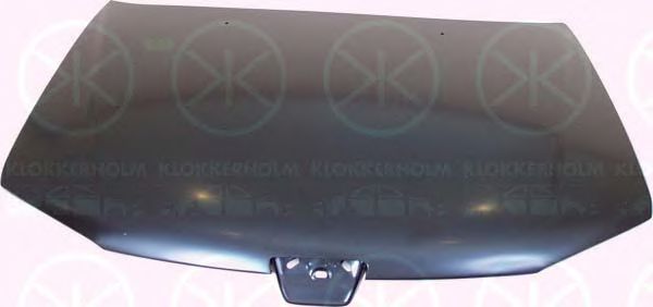 Capota motor