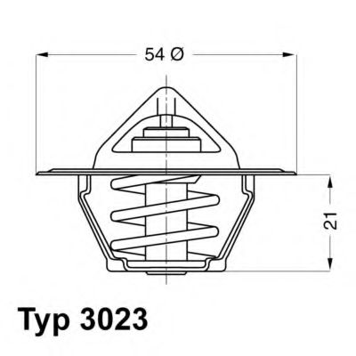 termostat,lichid racire