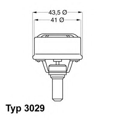 termostat,lichid racire