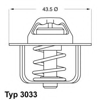 termostat,lichid racire