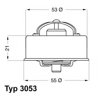 termostat,lichid racire