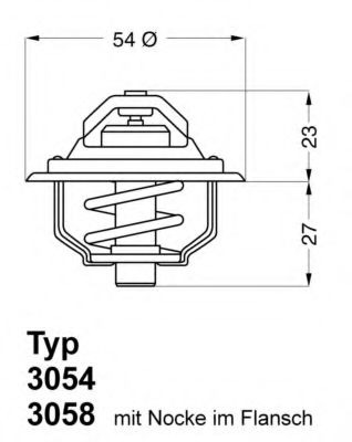 termostat,lichid racire