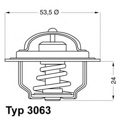 termostat,lichid racire