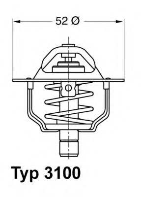 termostat,lichid racire