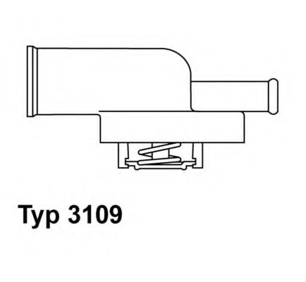 termostat,lichid racire