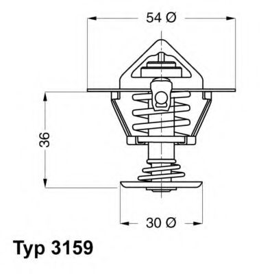 termostat,lichid racire