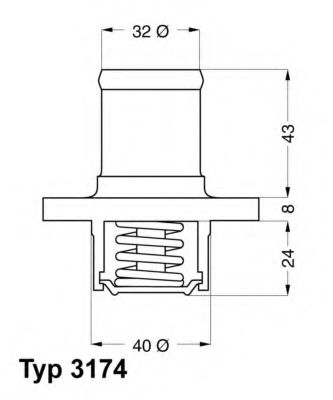 termostat,lichid racire