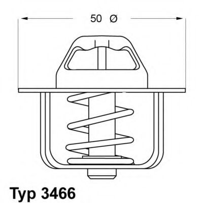 termostat,lichid racire