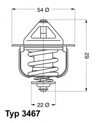 termostat,lichid racire