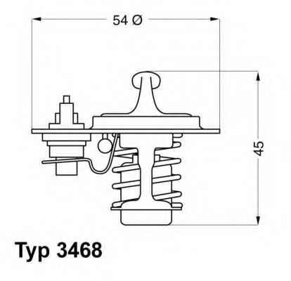 termostat,lichid racire