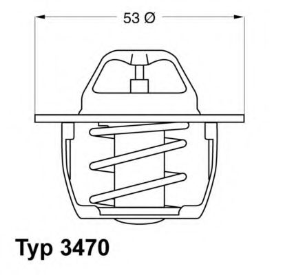 termostat,lichid racire