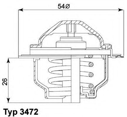 termostat,lichid racire