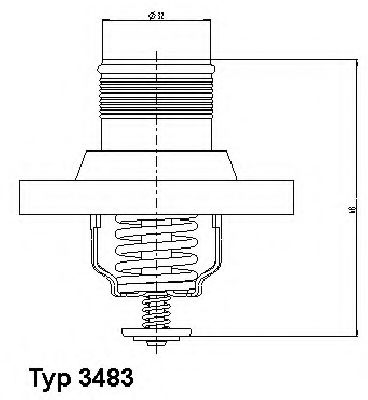 termostat,lichid racire