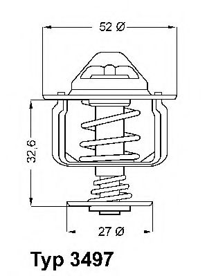 termostat,lichid racire