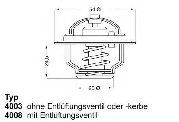 termostat,lichid racire