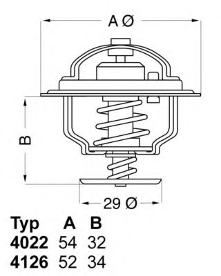 termostat,lichid racire