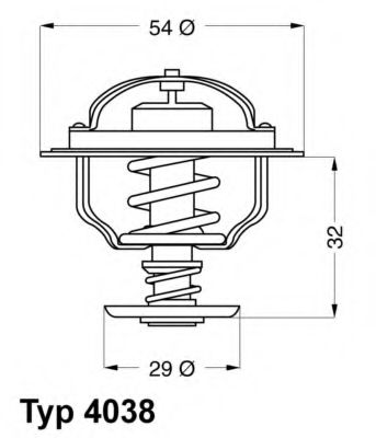 termostat,lichid racire