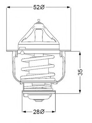 termostat,lichid racire