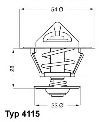 termostat,lichid racire