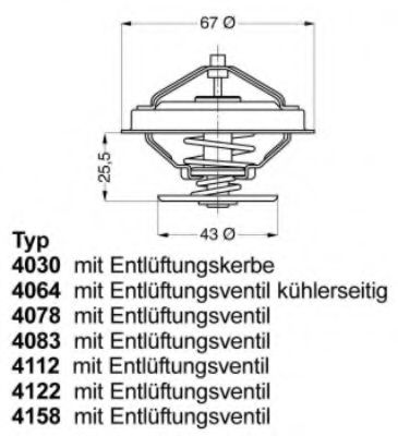 termostat,lichid racire