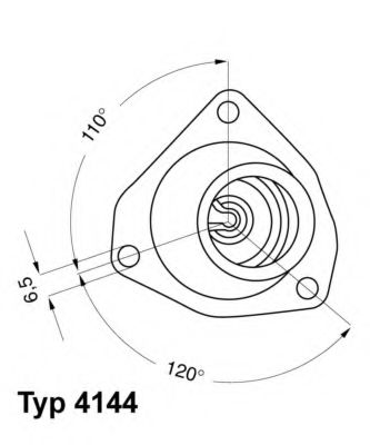 termostat,lichid racire