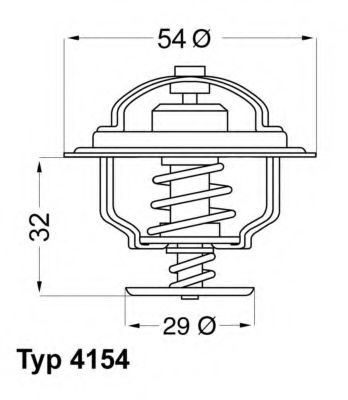 termostat,lichid racire