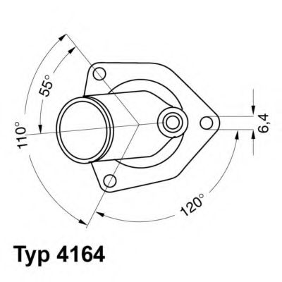 termostat,lichid racire