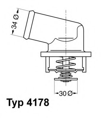 termostat,lichid racire