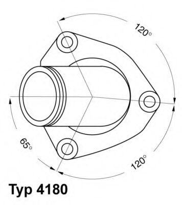 termostat,lichid racire