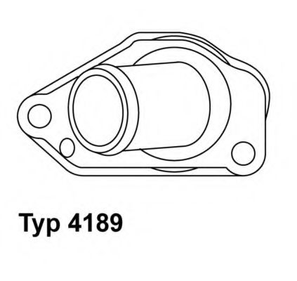 termostat,lichid racire