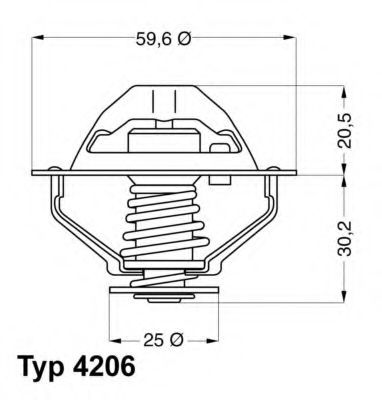 termostat,lichid racire