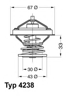 termostat,lichid racire