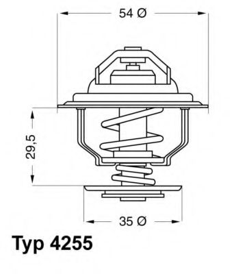 termostat,lichid racire