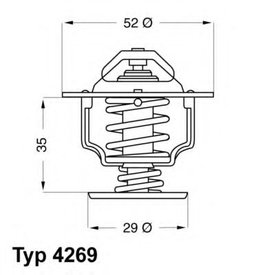 termostat,lichid racire