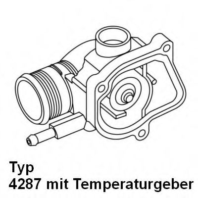 termostat,lichid racire