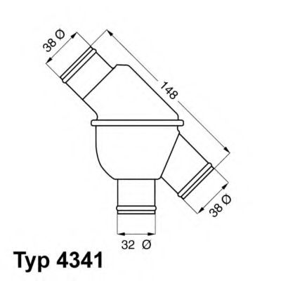 termostat,lichid racire