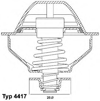 termostat,lichid racire