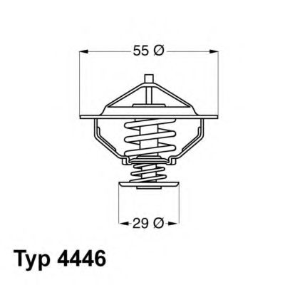 termostat,lichid racire