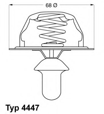 termostat,lichid racire