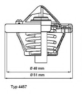 termostat,lichid racire