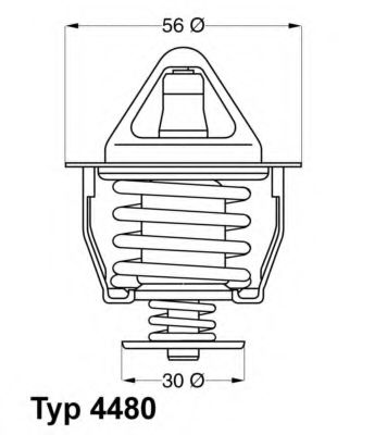 termostat,lichid racire