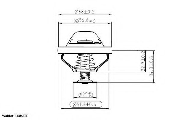 termostat,lichid racire