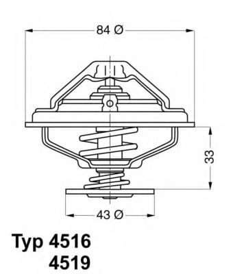 termostat,lichid racire