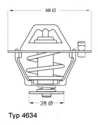 termostat,lichid racire