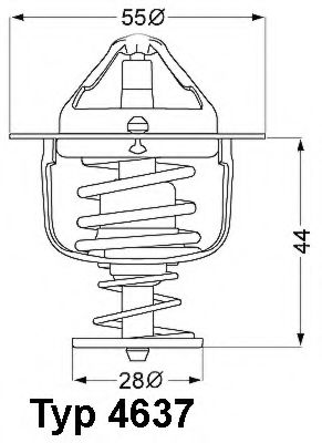 termostat,lichid racire