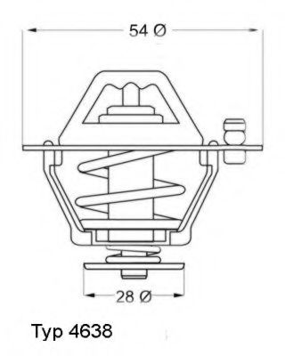 termostat,lichid racire